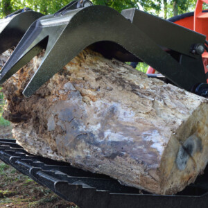 Medium Duty Root Grapple